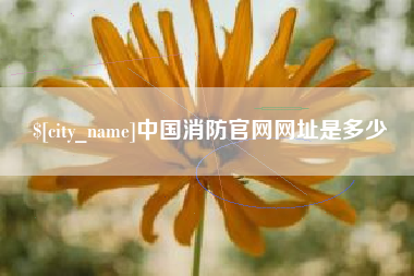 宿州中国消防官网网址是多少