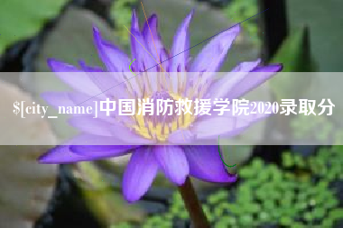 宿州中国消防救援学院2020录取分
