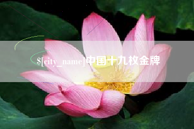 宿州中国十九枚金牌