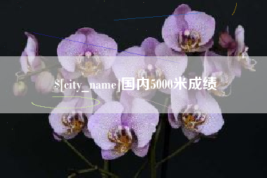 宿州国内5000米成绩