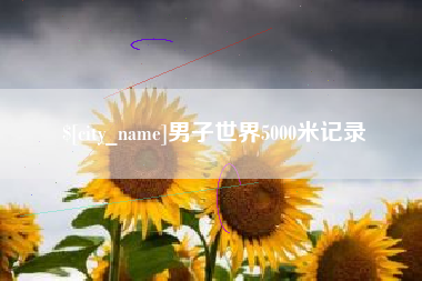 宿州男子世界5000米记录