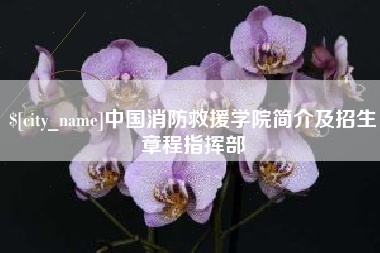 宿州中国消防救援学院简介及招生章程指挥部