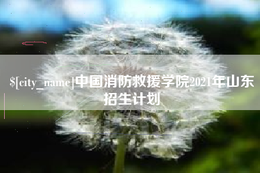 宿州中国消防救援学院2021年山东招生计划