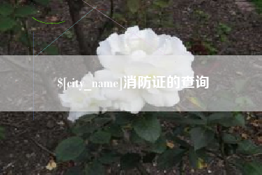 宿州消防证的查询