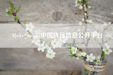 宿州中国执行信息公开平台