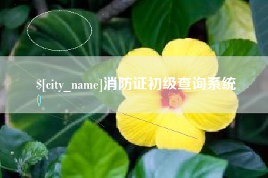 宿州消防证初级查询系统