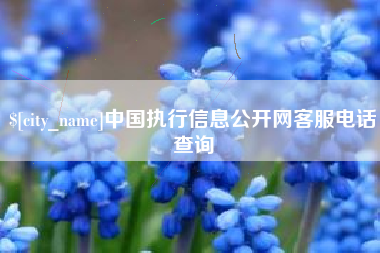 宿州中国执行信息公开网客服电话查询