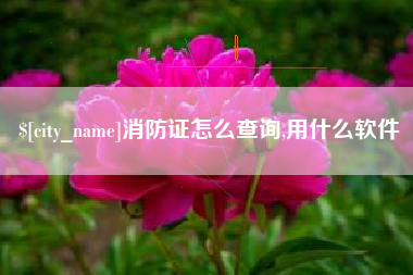 宿州消防证怎么查询,用什么软件