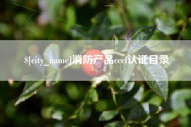 宿州消防产品cccf认证目录