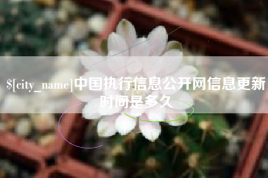 宿州中国执行信息公开网信息更新时间是多久