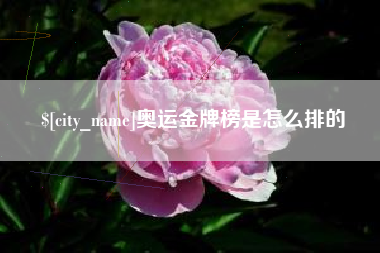 宿州奥运金牌榜是怎么排的