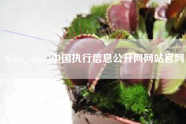 宿州中国执行信息公开网网站官网