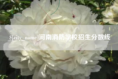 宿州河南消防学校招生分数线