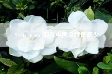 宿州现在中国金牌是多少