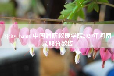 宿州中国消防救援学院2020年河南录取分数线