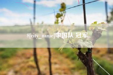 宿州中国队 冠军