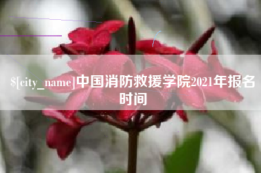 宿州中国消防救援学院2021年报名时间