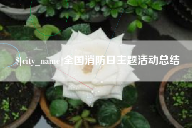 宿州全国消防日主题活动总结
