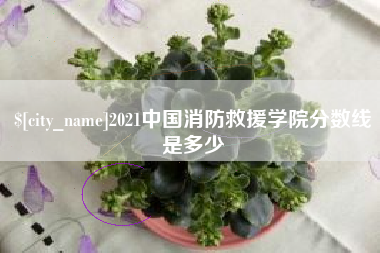 宿州2021中国消防救援学院分数线是多少