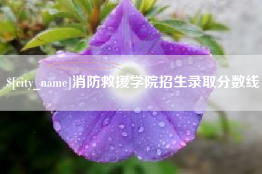宿州消防救援学院招生录取分数线
