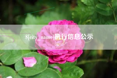 宿州执行信息公示