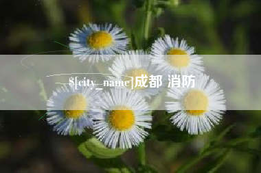 宿州成都 消防