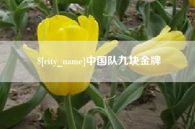 宿州中国队九块金牌
