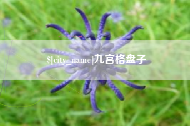 宿州九宫格盘子