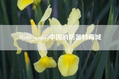 宿州中国消防器材商城