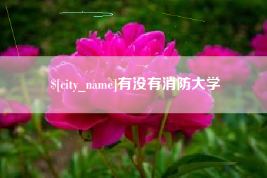 宿州有没有消防大学