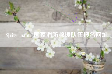 宿州国家消防救援队伍报名网址