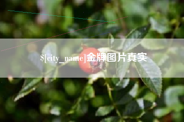 宿州金牌图片真实
