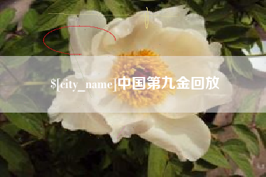 宿州中国第九金回放
