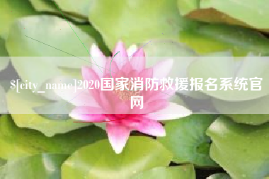 宿州2020国家消防救援报名系统官网