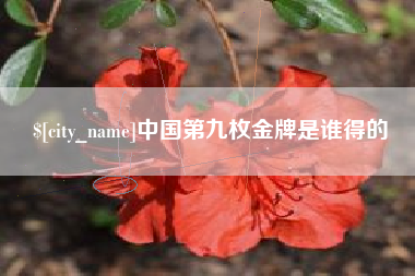 宿州中国第九枚金牌是谁得的