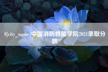 宿州中国消防救援学院2021录取分数