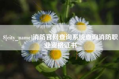 宿州消防官网查询系统查询消防职业资格证书
