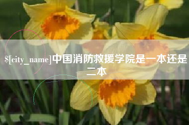 宿州中国消防救援学院是一本还是二本