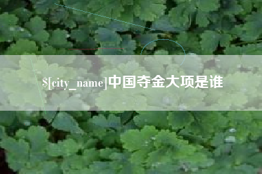 宿州中国夺金大项是谁