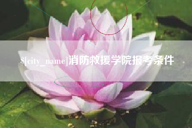 宿州消防救援学院报考条件