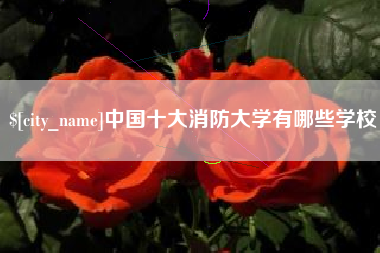 宿州中国十大消防大学有哪些学校