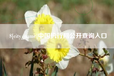 宿州中国执行网公开查询入口
