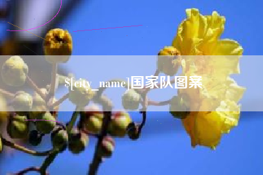 宿州国家队图案