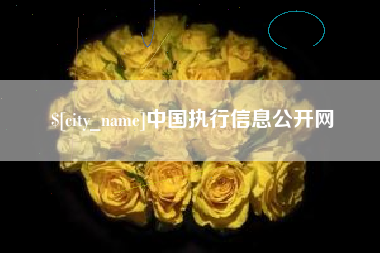宿州中国执行信息公开网