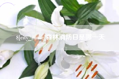 宿州森林消防日是哪一天