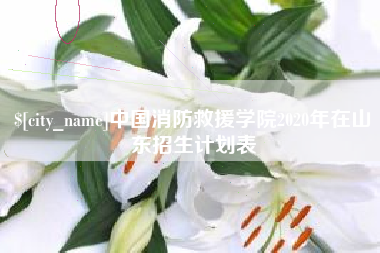 宿州中国消防救援学院2020年在山东招生计划表