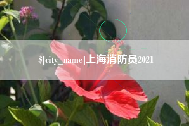 宿州上海消防员2021