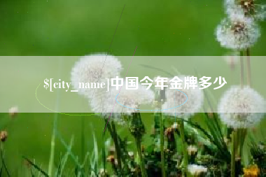 宿州中国今年金牌多少