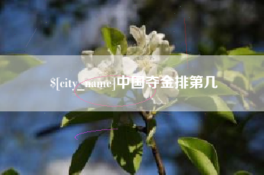 宿州中国夺金排第几
