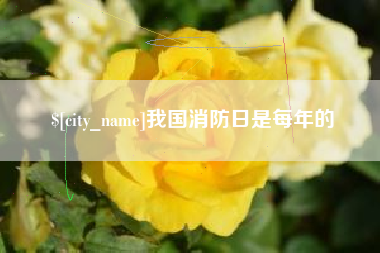 宿州我国消防日是每年的